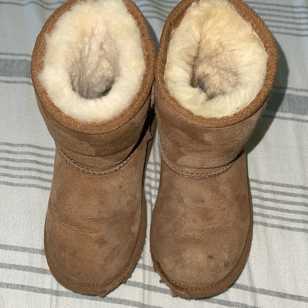 Toddler Chestnut Uggs